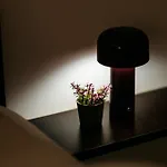 Apartman The Muse - Kronstadt Long Street *