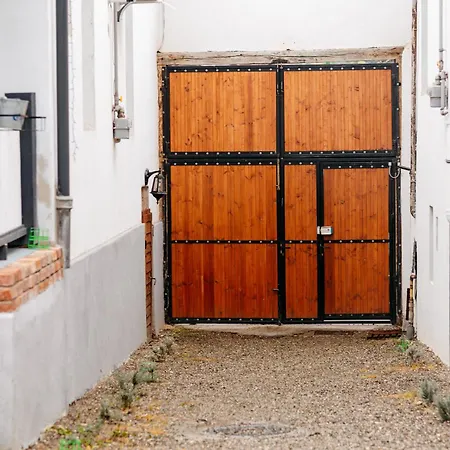 The Muse - Kronstadt Long Street Apartament *