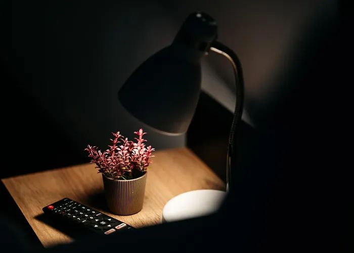 The Muse - Kronstadt Long Street